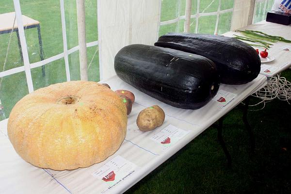 Very large veg.jpg